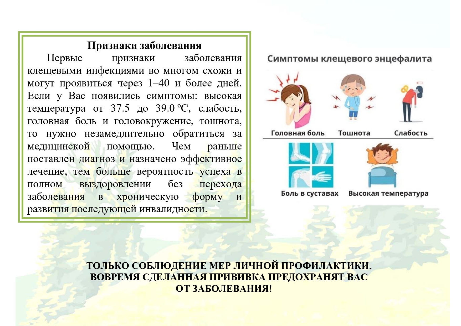 Горячая линяя по вопросом профилактики клещевого энцефалита — Городская  клиническая больница №3 им. Б. И. Альперовича